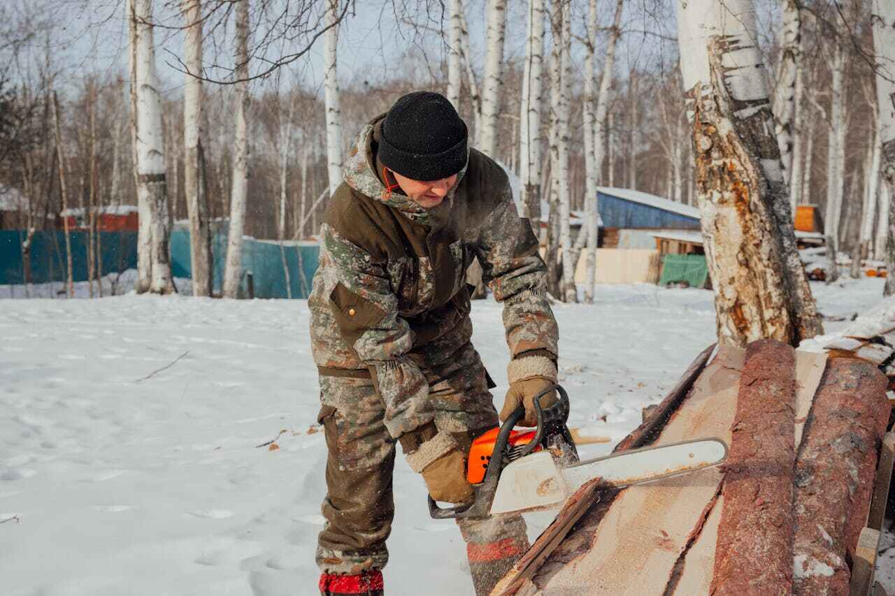 The Steps Involved in Our Tree Care Process in Gilberts, IL